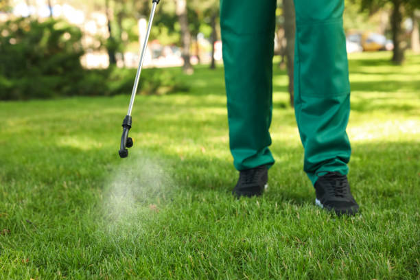 Best Exterminator Services  in Pixley, CA